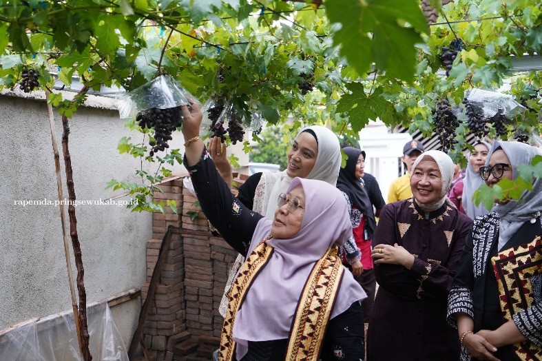 Meidawati Samsudin & Agnesia Marindo Petik Anggur di DPD ASPAI Pringsewu 