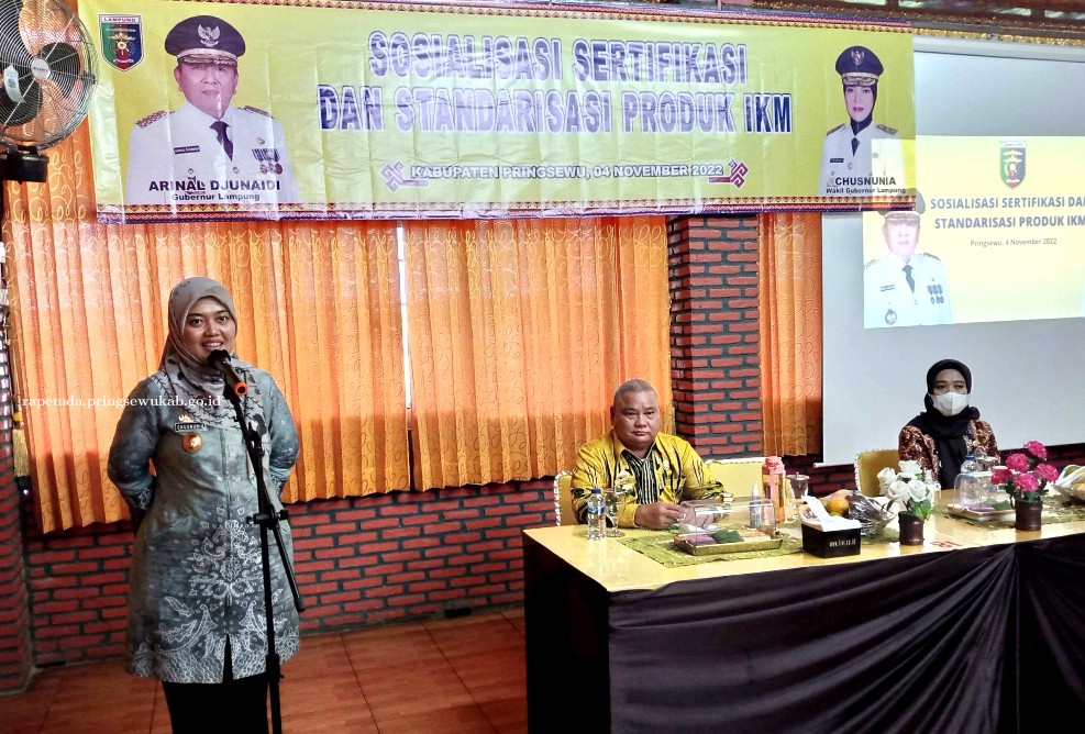 Pelaku IKM dari 3 Kabupaten Ikuti Sosialisasi Sertifikasi dan Standarisasi Produk IKM